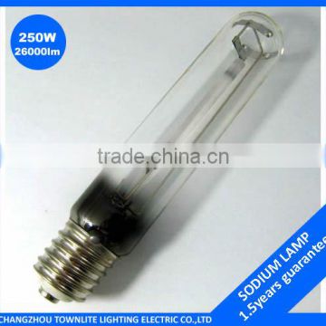 250 Trigger high-pressure sodium lamp