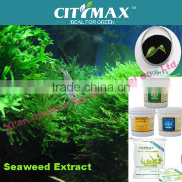 Strongest solublility Seaweed from ascophyllum nodosum