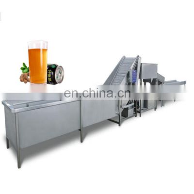 fully automatic Tamarind juice extraction line