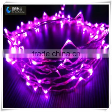 copper wire led light string for christmas holiday name