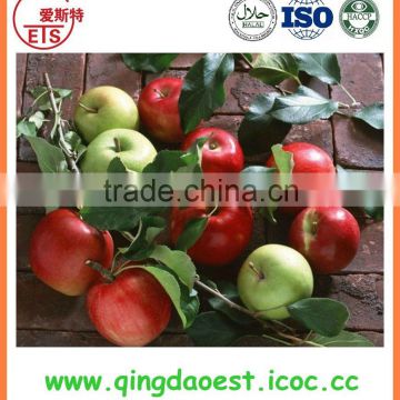 chinese sweet fruits hot sale red gala apple