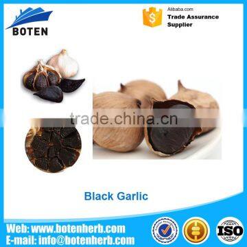 Professional black garlic from china for medical use