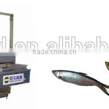 DBF fish automatic frying machine