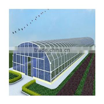 Outdoor anti-UV Wall Installation Aluminum frame Greenhouse with polycarbonate sheet