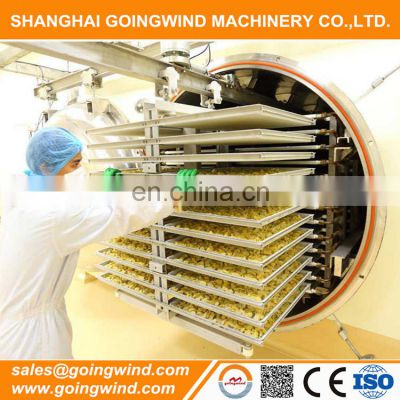 Professional best price freeze dryer machine fruits vegetables food vacuum freeze-drying machinery for sale