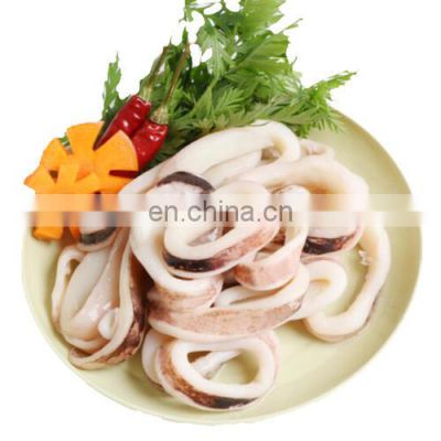 frozen todarodes giant illex squid ring wholesale price skin on