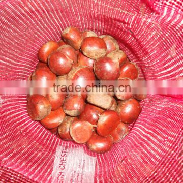 2014 crop Chinese fresh raw chestnut