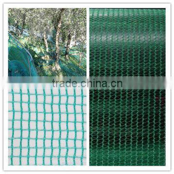 Picking Olive net (direct manufacturer)