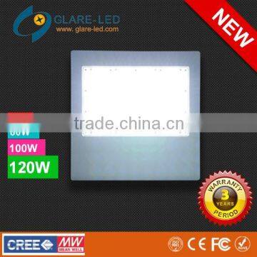 100W Taiwan Meanwell power and American Cree chip LED street lights