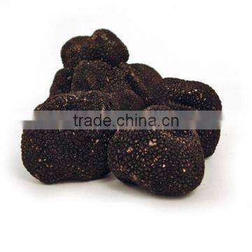 IQF frozen truffle black truffle wild mushroom