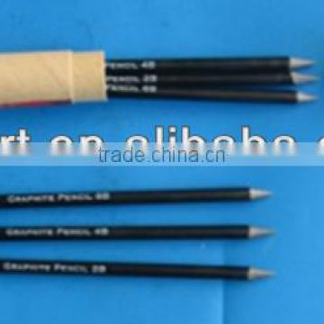 New Arrival Artist Material Woodless Graphite pencil