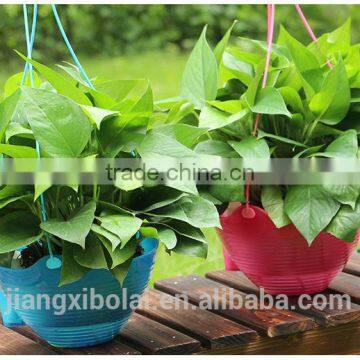 2016 high quality PP sky planter &cheap hanging plastic flower pot for wholesales