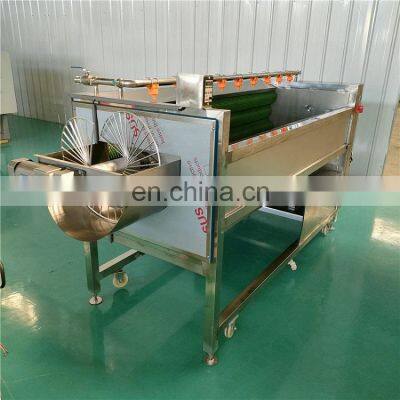 Industrial Fruit Root Vegetable Washing Machine Potato Ginger Carrot Brush Peeling Cleaning Machine