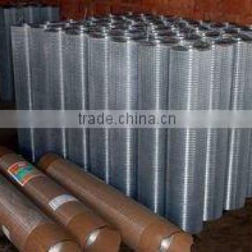 HOT SELL PRODUCT OF GALVANIZED WELDED WIRE MESH(Factory)