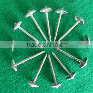 common iron nail prices factory