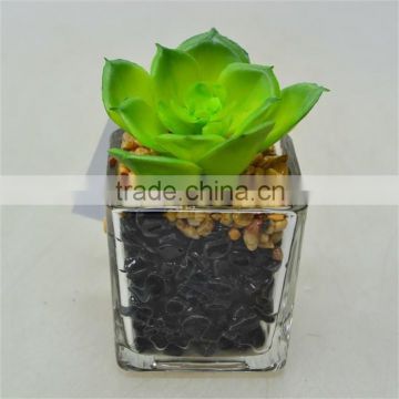 New Product Natural Looking Artificial Plant with Little Glass pot