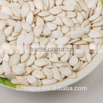 Chinese pumpkin seeds price, snow white