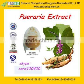 GMP Manufacturer supply Kudzu Root Extract