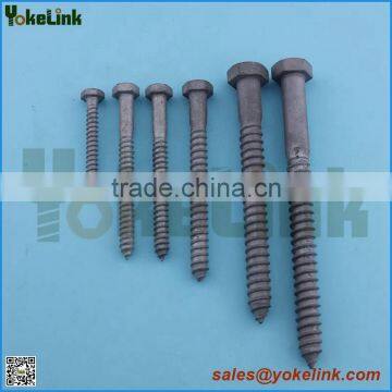 Hot dip galvanized regular Lag screw