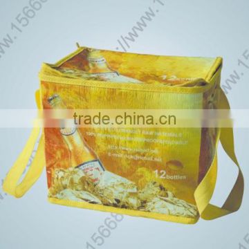 hot seller high quality cheap price bottle cooler bag (DZ-29202)