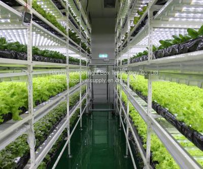 Hydroponic plant factory autopot  Artificial Light System grow cabinet kit systems for Agriculture