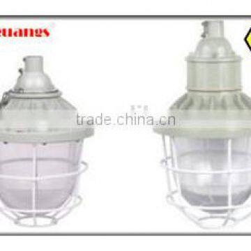 BAD51 high quality professional Explosion proof energy saving lamp