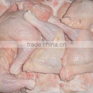 Quality frozen chicken Parts exporters