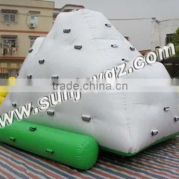 2016 Sunjoy PVC Tarpaulin inflatable motorized water toy
