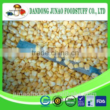 sweet corn price competitive with good quality for cook
