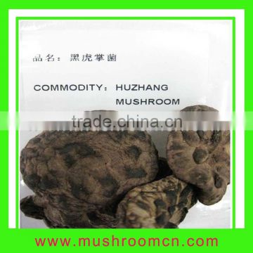 Huzhang Mushroom
