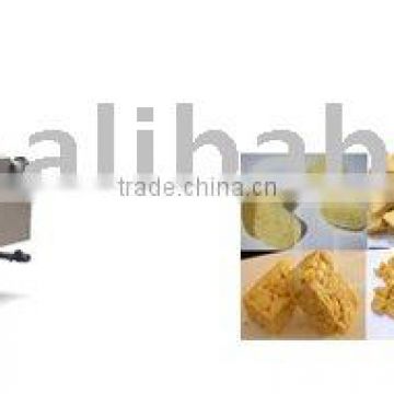 continous deep fryer for foods