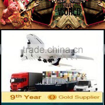 China logistics for freight forwarding company in dubai