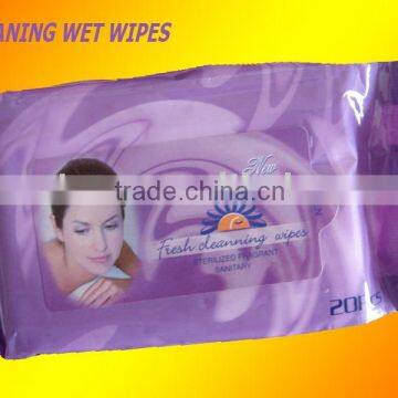 Wet Wipes, Lady wet wipes