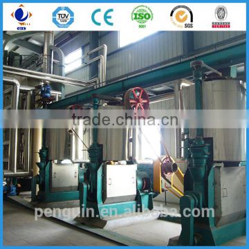 30 years experience oil press machine for sunflower seeds