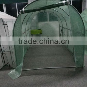6x2m steel structure Green house
