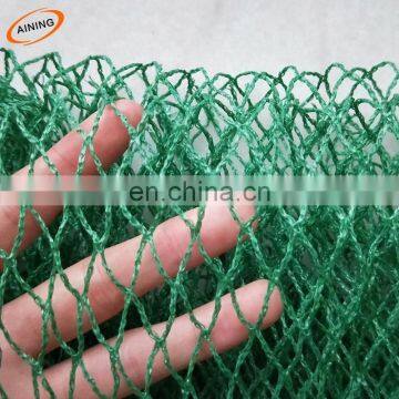 Green anti mole netting protect the grapes from birds