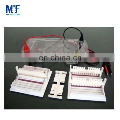 Medfuture Horizontal Electrophoresis Tank And Electrophoresis Power Supply For PCR Test