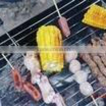 barbecue grill wire mesh