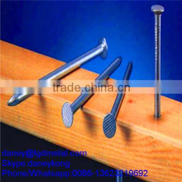 Building common wire nail, Construction Common nail iron nail factory CN-011D