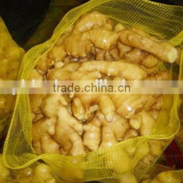 Varieties of Ginger for Sale Ginger Price