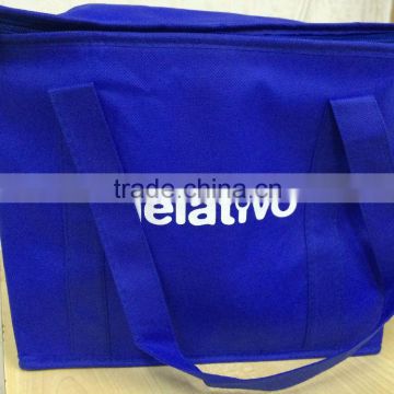 Oem High Quality Portable Cooler Bag for promotion