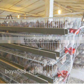 manufacturing cage for quail