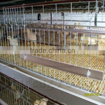 H Type Pullet Rearing Equipment 3tiers