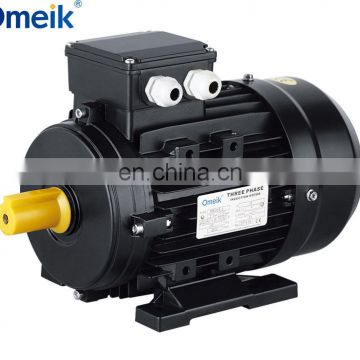 MS series 110v high torque low rpm electric motor