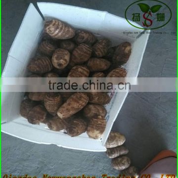 Fresh taro exports southeast Asia, Japan and Europe and the United States
