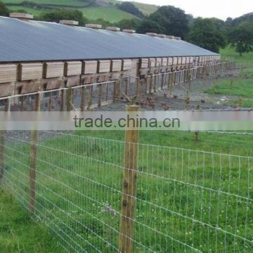 Galvanised Hinged Joint Rural and Farm Fencing