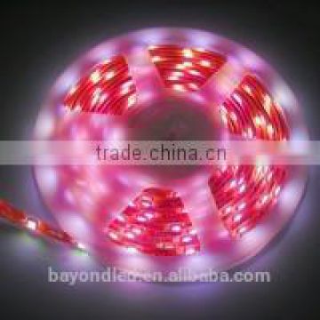 New products 3 years warranty RGB+W 1 pcs 4 led chip 12-24V high quality programmable led strip