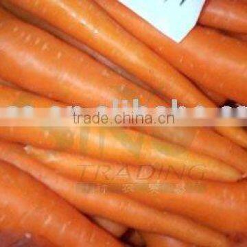China Fresh Carrot in 200g