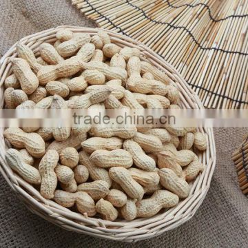 dried Peanuts inshell
