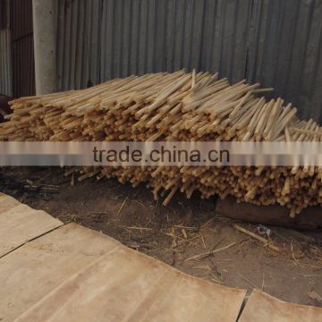 Acacia Veneer making plywood